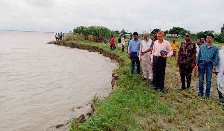 বন্যা আতঙ্কে দৌলতপুরের চরবাসী