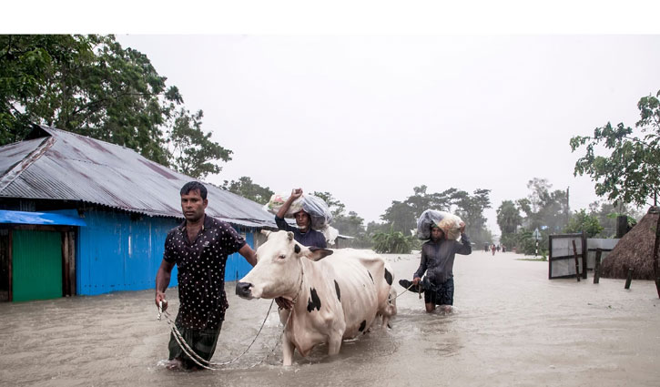 বন্যা: ফেনীতে পানিবন্দি ও বিদ্যুৎহীন ৩ লাখ মানুষ