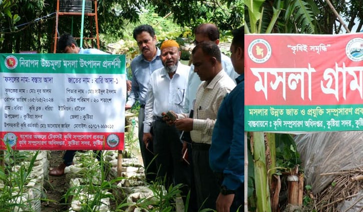 মশলার গ্রাম!