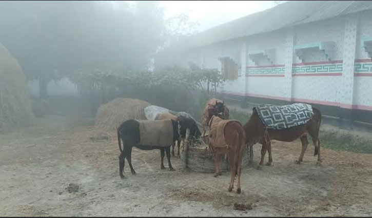 দিনাজপুরে তাপমাত্রা ১১.২ ডিগ্রি সেলসিয়াস  