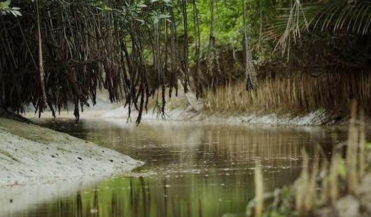 ২০২২-২৩ অর্থবছরে রাজস্ব আয় ৪ কোটি টাকা