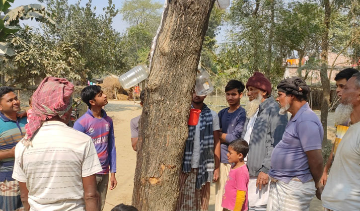 নিমগাছ থেকে বের হচ্ছে ফেনাসহ মিষ্টি রস