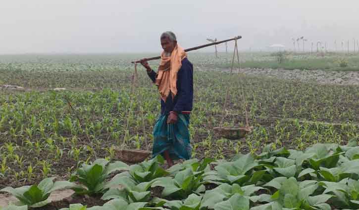 কনকনে ঠান্ডায় বিপর্যস্ত লালমনিরহাটের মানুষ