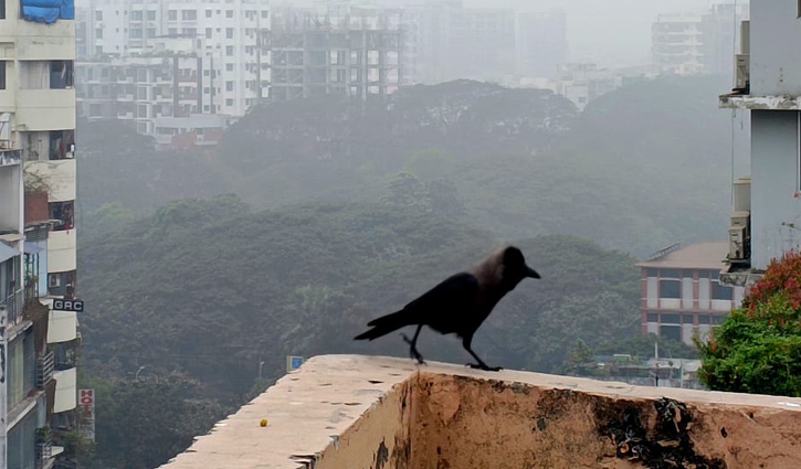 ঘনকুয়াশার সঙ্গে হালকা বৃষ্টির সম্ভাবনা