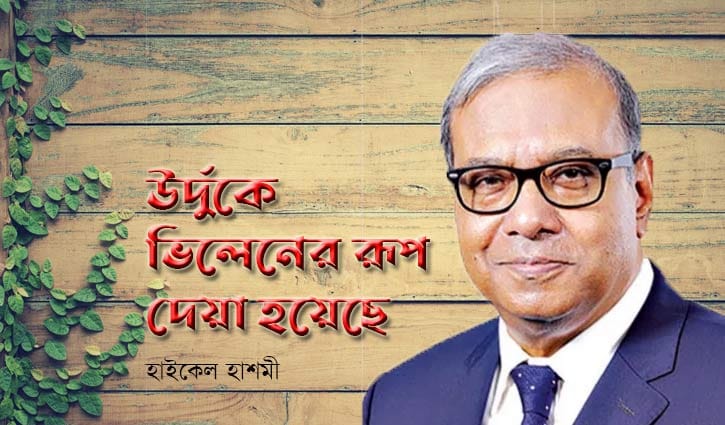 Urdu used as villain: Haikel Hashmi