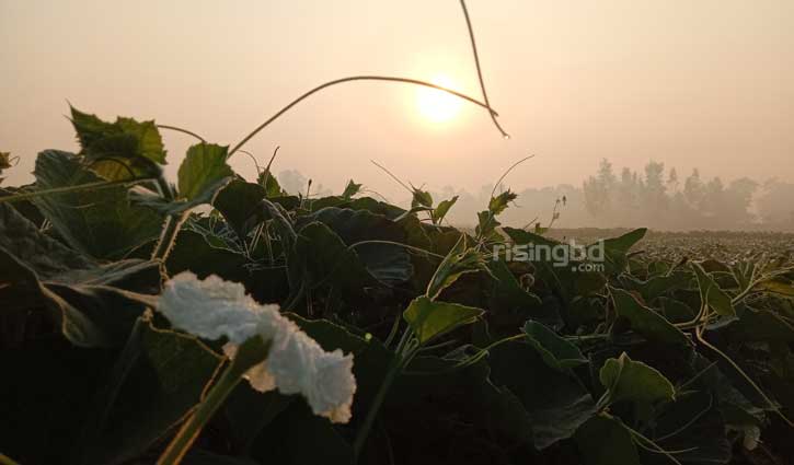 Fog may increase from Sunday