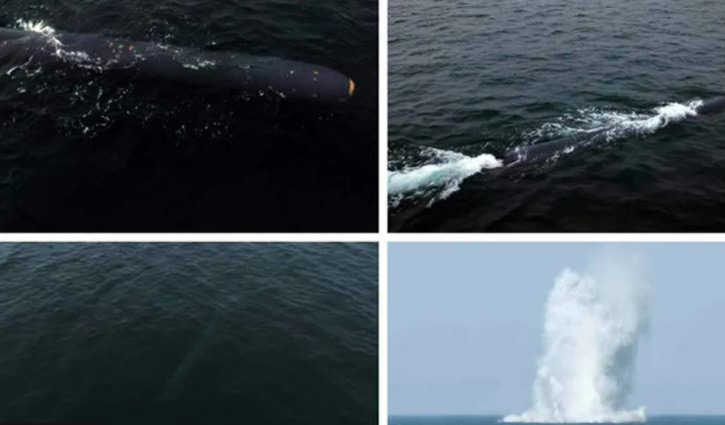 North Korea says tests underwater nuclear drone