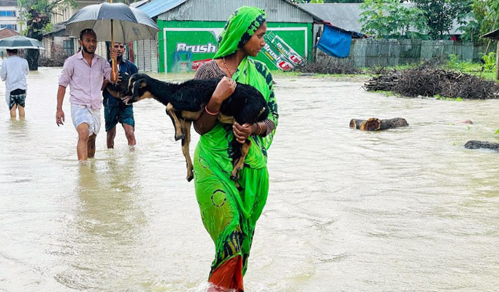 ফেনীতে বন্যা: বেড়িবাঁধের ১১ স্থানে ভাঙন, ৫৯ গ্রাম প্লাবিত 