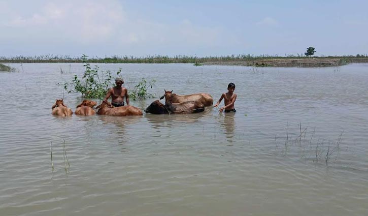 কুড়িগ্রামে বন্যা পরিস্থিতির উন্নতি, দেখা দিয়েছে খাদ্য সংকট