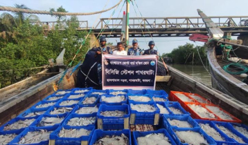 নিষেধাজ্ঞা অমান্য করে সাগরে ধরা ৩৪২০ কেজি মাছ জব্দ