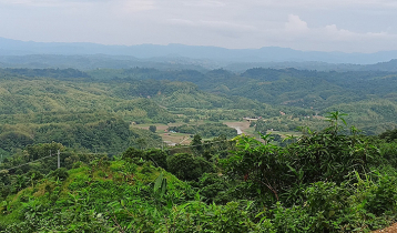 বান্দরবানে রিসোর্টের মালিককে অপহরণ