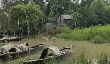 রাজবাড়ীতে পদ্মার পানি বিপৎসীমার ওপরে