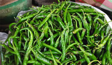 Price of green chilli shoots up to Tk 300 per kg