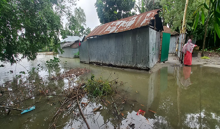 রংপুরে ফুলে উঠেছে তিস্তা, ৫ শতাধিক পরিবার পানিবন্দি 