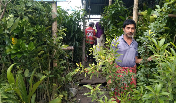 নার্সারিতে ভাগ্য বদল উজ্জ্বলের, মাসে আয় ৭০-৮০ হাজার টাকা