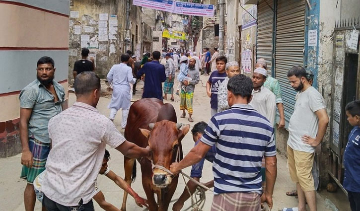 কোরবানির পশু জবেহ করার বিধান