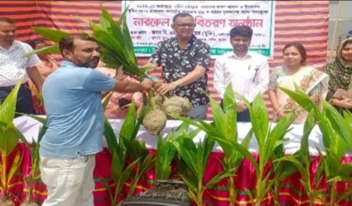 কালিয়ার প্রান্তিক চাষিদের নারিকেল গাছের চারা বিতরণ