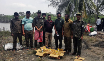 সুন্দরবনে ১২০ বোতল কীটনাশকসহ নৌকা জব্দ