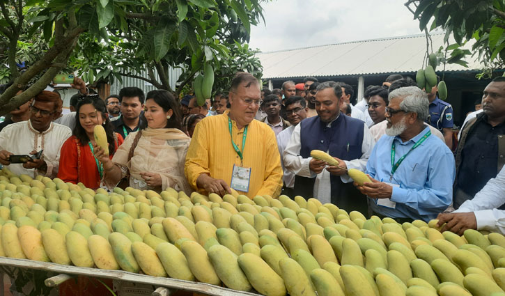 চাঁপাইনবাবগঞ্জে আমবাগান পরিদর্শন করলেন ১৩ রাষ্ট্রদূত