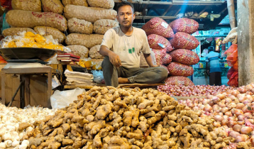 Ginger price increased by Tk 120 overnight