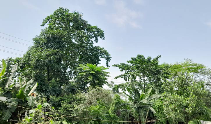 Flood situation shows signs of improvement in Sylhet