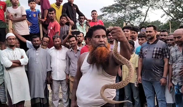 বর্ষায় সাপ আতঙ্ক, এখনও চরাঞ্চলের মানুষের ভরসা ওঝার ঝাড়ফুঁক