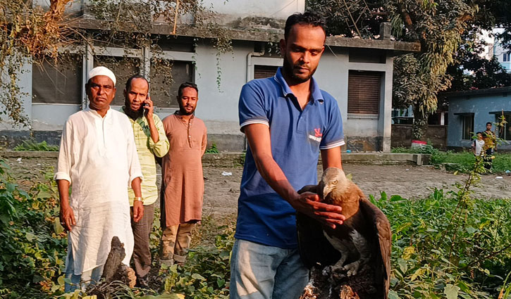 মানুষের ভালবাসায় আবার আকাশে উড়বে ঈগলটি