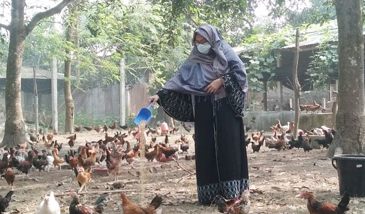 দেশি মুরগিতে স্বপ্ন বুনছেন ফেরদৌসী