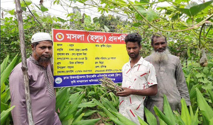 মাচায় সবজি নিচে হলুদ, মিশ্র চাষে লাভবান কৃষক জুয়েল 