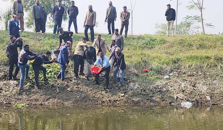 মফিজ লেকে মাছের পোনা অবমুক্ত