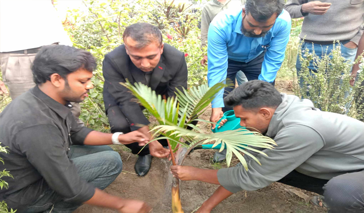 পাবনা বিশ্ববিদ্যালয়ে শহীদদের স্মরণে বৃক্ষরোপণ