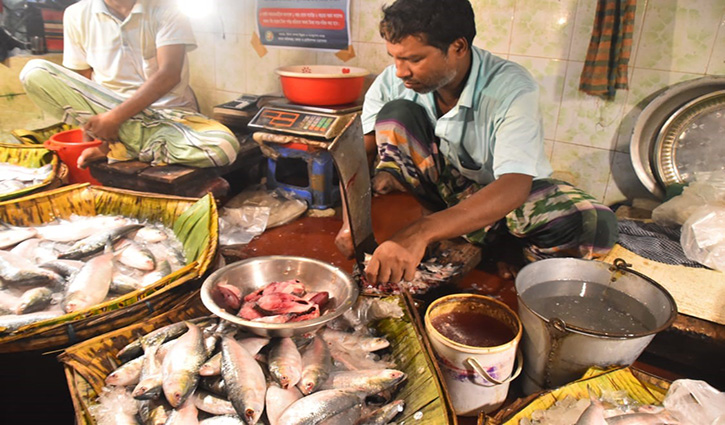 রাজশাহীতে মিলছে কাটা ইলিশ, দাম দ্বিগুণের বেশি