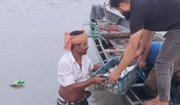 ফরিদপুরে ৩০ কেজি ইলিশ ও কারেন্ট জাল জব্দ