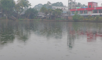 বাগেরহাটে বৃষ্টি, উপকার হবে ধানের 