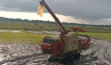 গায়েব ভর্তুকির শতশত কম্বাইন্ড হারভেস্টার  