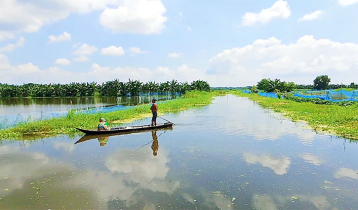 ২৭ বিলের জলাবদ্ধতায় ভবদহে হাজারো হেক্টর জমির বোরো আবাদ অনিশ্চিত