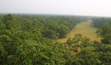 কাপ্তাই জাতীয় উদ্যানে বার্মিজ অজগর অবমুক্ত