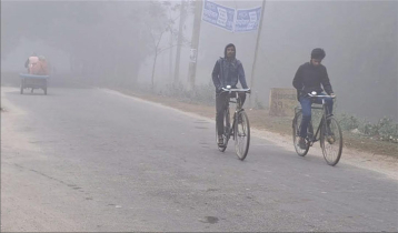 ১০ ডিগ্রির ঘরে পঞ্চগড়ের তাপমাত্রা