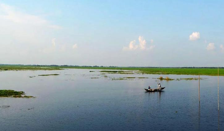 চলনবিলে রবিশস্য চাষ নিয়ে শঙ্কা