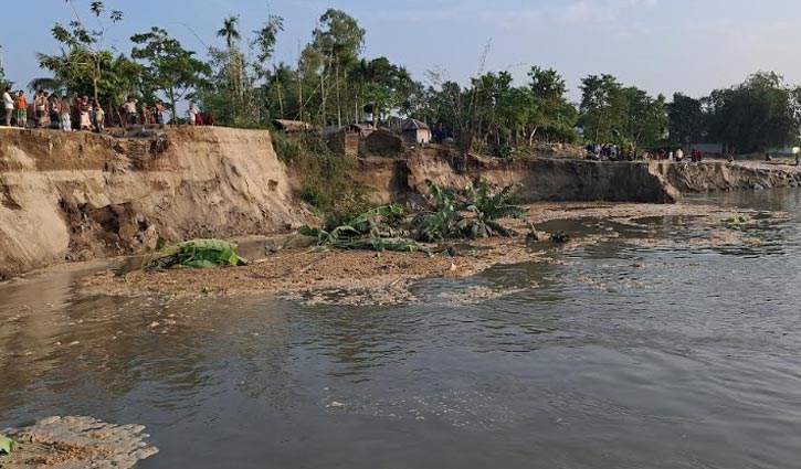 অসময়ের ভাঙনে যমুনায় বিলীন ১৫ ঘর