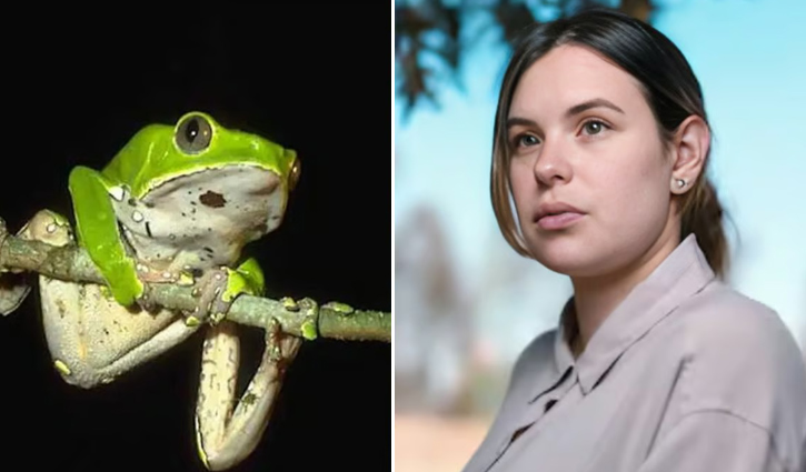 Actress dies after taking frog venom 