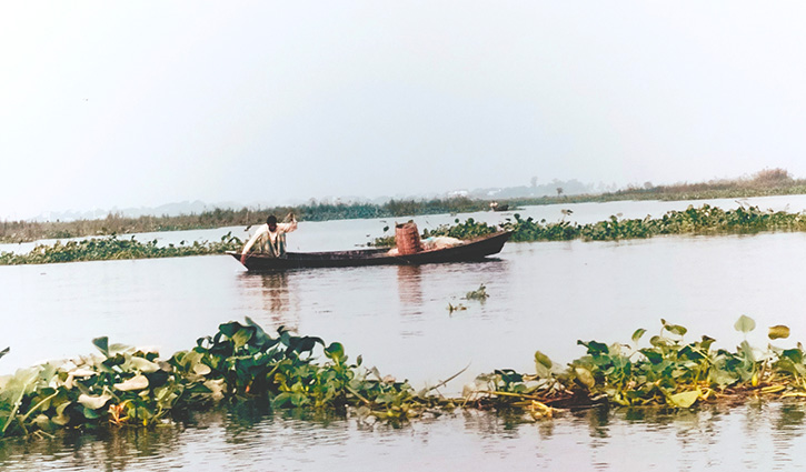 বৈদ্যুতিক ‘শক মেশিন’ দিয়ে মাছ শিকার, হুমকির মুখে জীববৈচিত্র