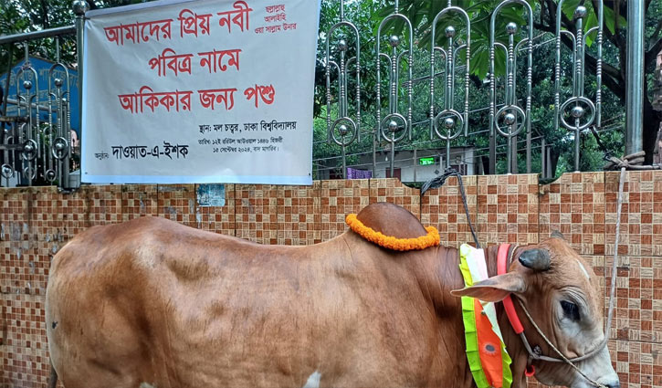 ঈদে মিলাদুন্নবীতে মহানবীর (সা.) নামে আকিকা দেবেন ঢাবি’র শিক্ষার্থীরা