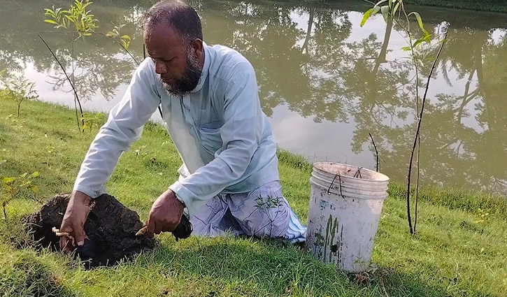 স্বেচ্ছায় এক লাখ তালের চারা রোপণের উদ্যোগ