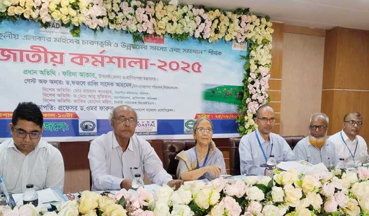 ইলিশ উৎপাদন কমলেও উত্তরণে ব্যবস্থা নেয়া হচ্ছে: উপদেষ্টা