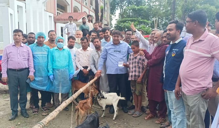 সুতিয়াখালিতে ফ্রি ভেটেরিনারি মেডিক্যাল ক্যাম্প ও চারা বিতরণ