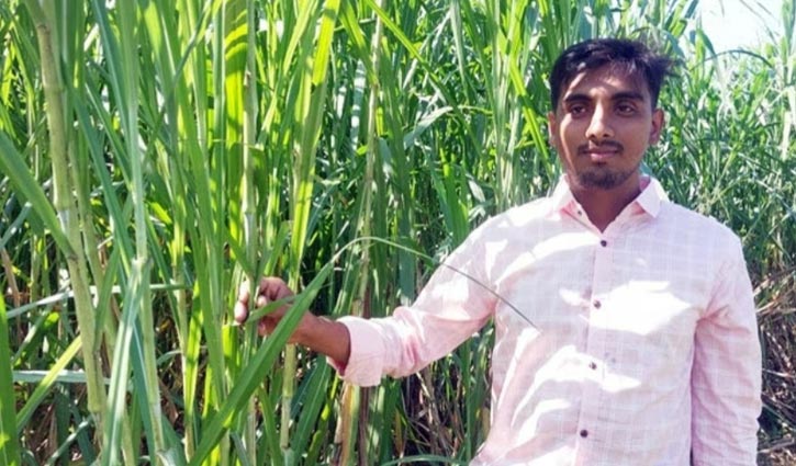 রুবেল দেখিয়েছেন সাফল্য শুধু চাকরিতে নয়, ঘাস থেকেও পাওয়া যায়