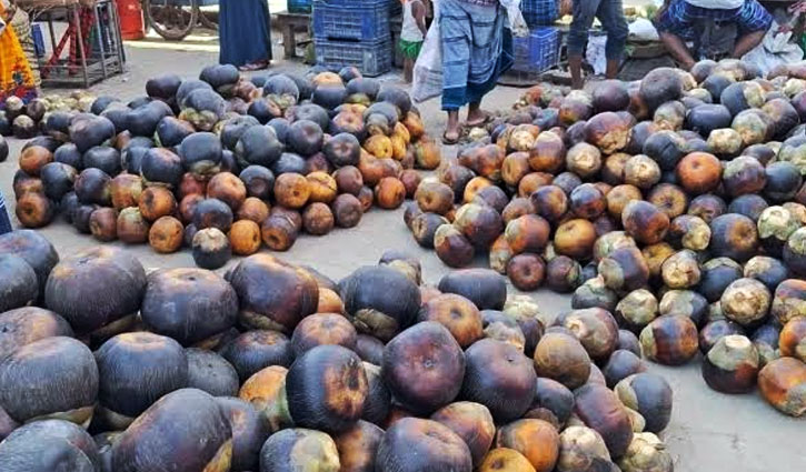 কাপাসিয়ায় পাকা তালের জয়যাত্রা