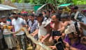 উখিয়ায় ১০ ফুট লম্বা অজগর উদ্ধার