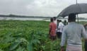 গাজীপুরে নৌকা ভ্রমণে গিয়ে নিখোঁজ, নদীতে মিলল লাশ